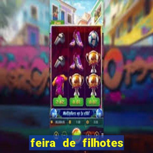 feira de filhotes porto alegre